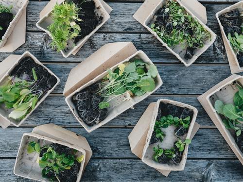 How to Make Your Restaurant Environmentally Sustainable
